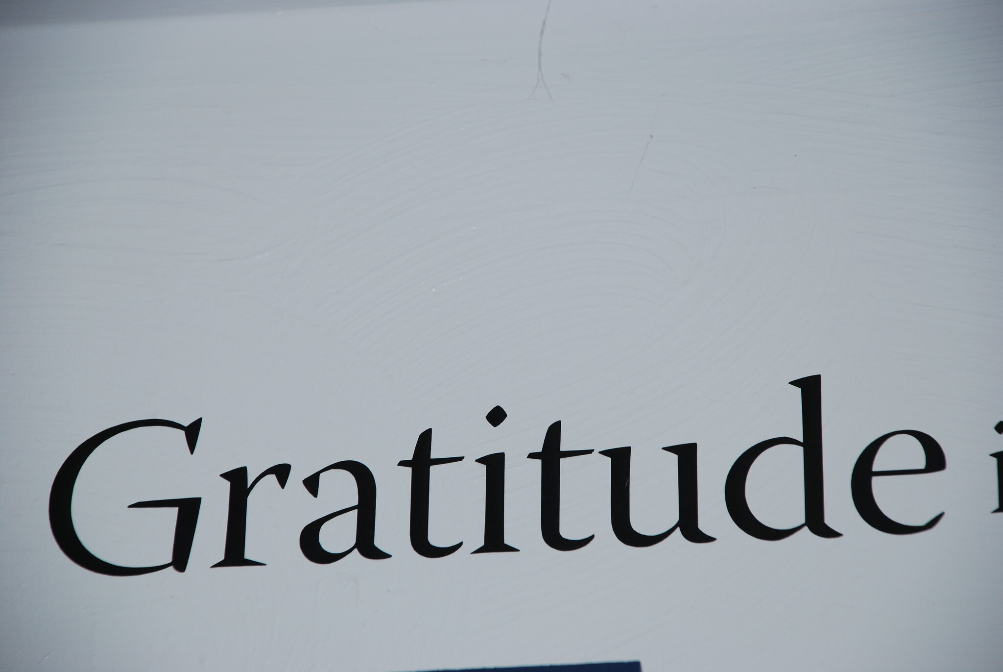 Gratitude isn’t just some soft, snowflake bullshit